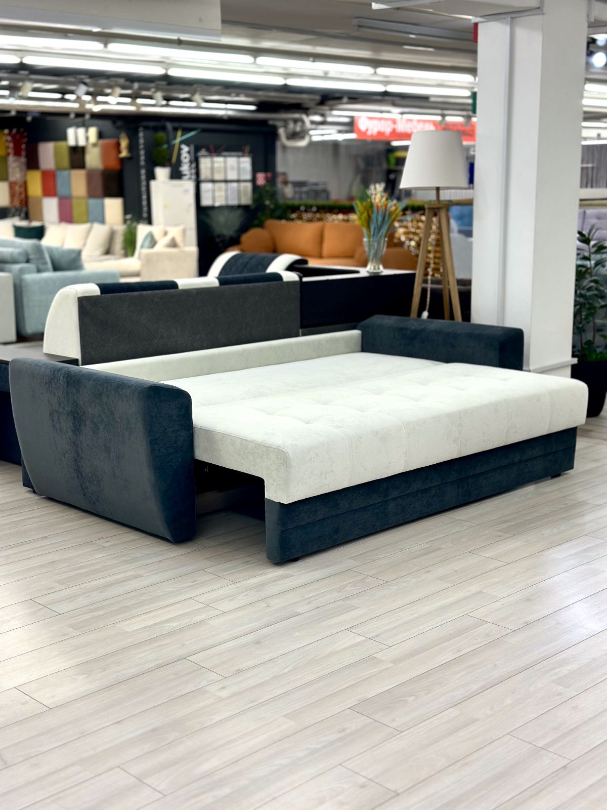 изображение_viber_2025-02-02_16-51-20-971