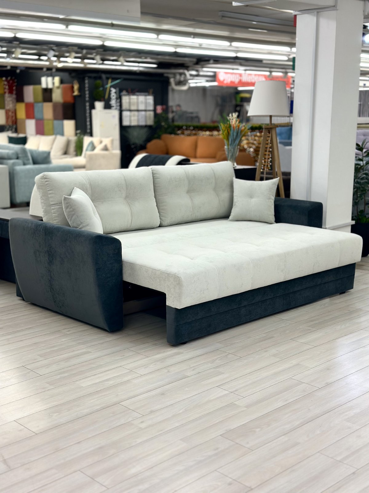 изображение_viber_2025-02-02_16-51-21-169